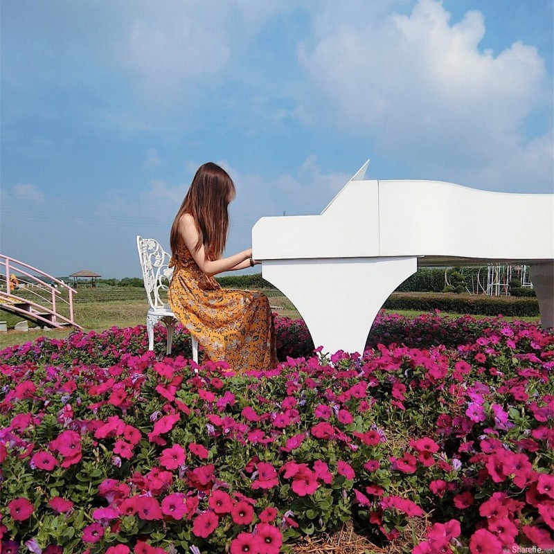 【GG扑克】小清新正妹Estelle 新社花海花海中弹钢琴仙气逼人