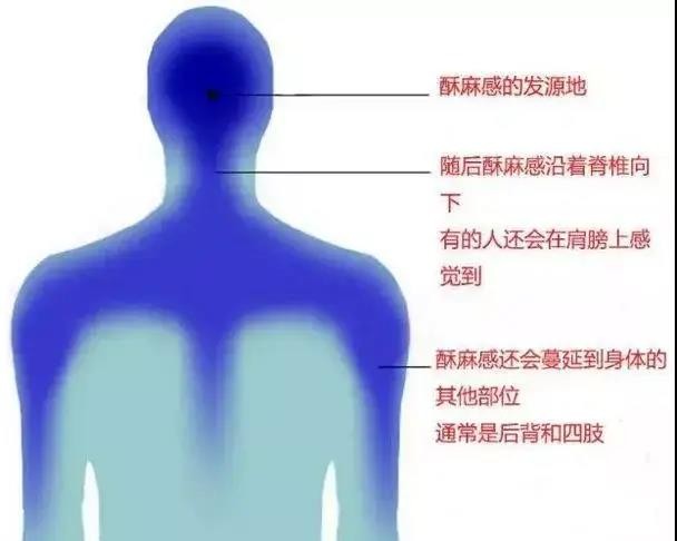 还记得那些曾经风靡各大直播平台的ASMR吗？