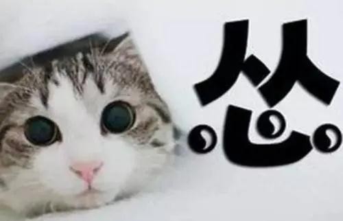 【GG扑克】《珍藏版》众星璀璨欢宅女艺人大集结