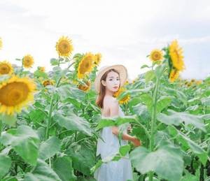 【GG扑克】兄长为夫txt 就想缠着你男主很粘女主