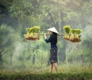 重逢gl广播剧第四期 洪荒夺美记