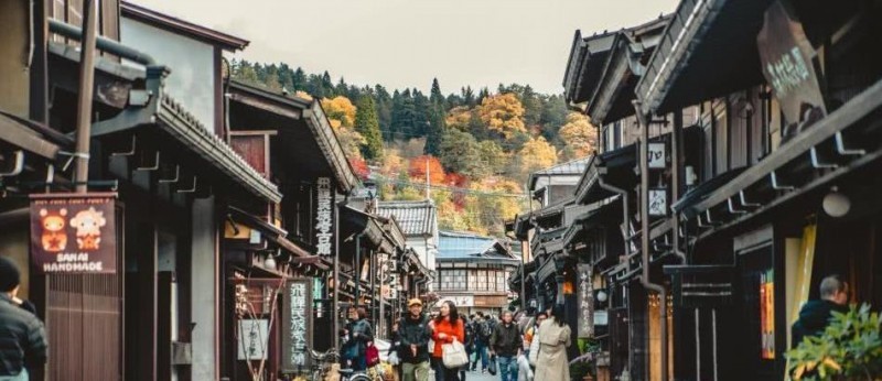 日本小京都的第一寺庙，寺中一棵1200年银杏树，寺庙靠它成了网红