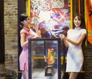 【GG扑克】征服全国女歌星系列小说 农村小保姆给女主跪下洗脚