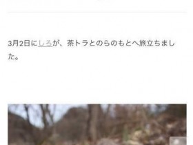 【GG扑克】日本网红猫咪“猫叔”去世 因可爱表情包风靡网络