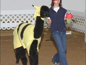 【GG扑克】愛,超越一切!12張照片證明「預算有限」也能當個好coser