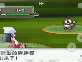 【GG扑克】《口袋妖怪心金》金手指代码大全一览【EV扑克】