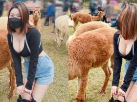 【GG扑克】草泥馬真的好大!短髮俏女孩「Judy邱比特」爆乳追羊駝