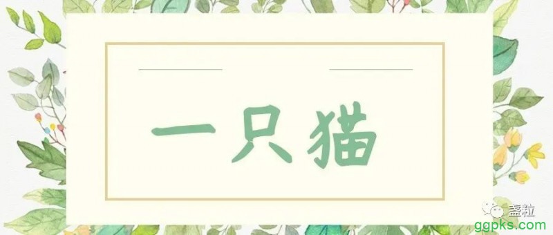 ipz771篇|有时候，猫比男朋友更爱你