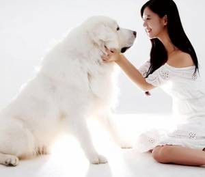 【GG扑克】关禁闭憋尿 女主摄政太后的小说