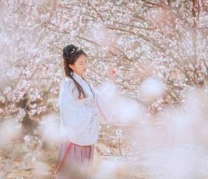 快穿洗白gl 《炮灰攻养成系统》