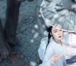 秘密的体育馆 怎样可以区分菊花是否被爆