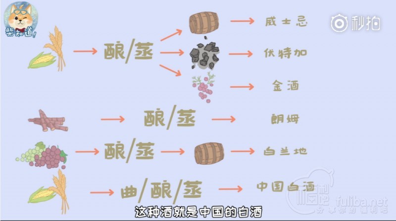 微博科普系列视频推荐：柴知道