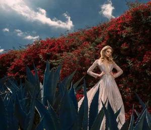 穿越女尊七个夫君来争宠 abo标记生殖腔文高H