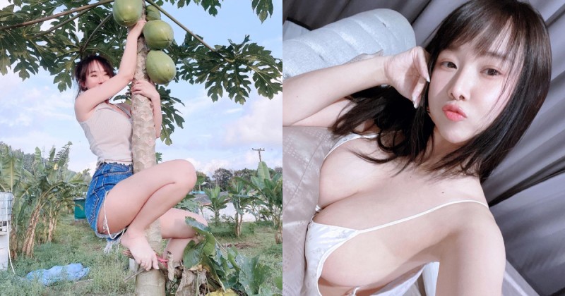 【GG扑克】巨乳小姐姐背「兩顆大木瓜」爬樹摘木瓜　打算以形補形嗎？