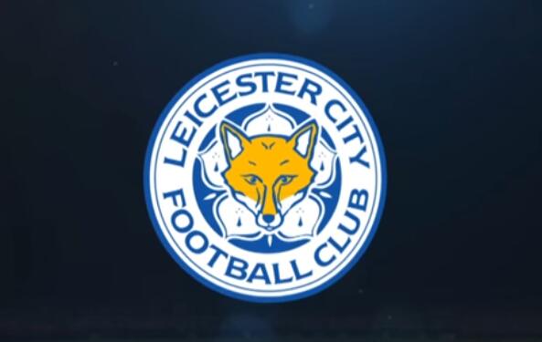 大发体育-足球金融专家:莱斯特城总薪资水平为英超第7,降级收入会减少2/3,大发助力你的致富之路!