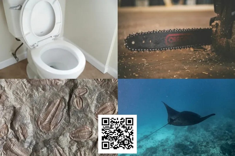 【EV扑克】扑克界谁的绰号最炸裂:电锯、魔鬼鱼、石化人、马桶?