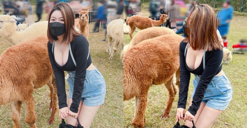 【GG扑克】草泥馬真的好大！短髮俏女孩「Judy邱比特」爆乳追羊駝